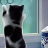 Profile Picture of Gabriella Newton (@newtonga) on Pinterest