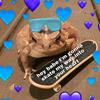 Profile Picture of Jaime Opsahl (@@jaimeopsahl) on Tiktok