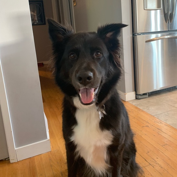 Profile Picture of Danielle Shewchuk (@danishew) on Poshmark