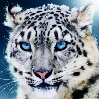 Erick Olivares - Twitter Profile Picture of Erick Olivares (@erickolivares35) on Twitter