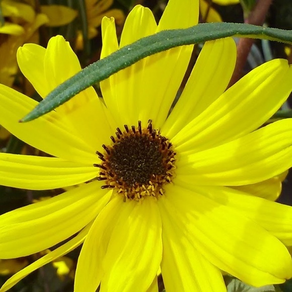 Pam Salustro - Poshmark Profile Picture of Pam Salustro (@pamsal123) on Poshmark