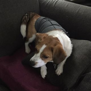 Darlene Jeffery - Facebook Profile Picture of Darlene Jeffery (@darlene.jeffery) on Facebook