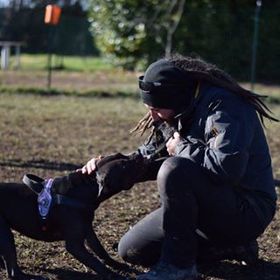 Profile Picture of Tony Tramonte (@tonyt0013) on Pinterest