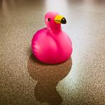 Profile Picture of Ricardo Flamingo (@ricardo_flamingo) on Instagram