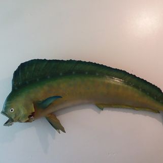 Lisa Yerby - Facebook Profile Picture of Lisa Yerby (@lisa.yerby.1460) on Facebook