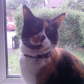 Profile Picture of Ginger Thyer (@ginger.thyer) on Facebook