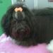Profile Picture of Dilly Aspland (@dillyaspland) on Pinterest