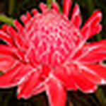 Profile Picture of Allen Gerald Labrador Marquez (@Tookiplink) on Flickr