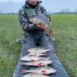 Profile Picture of Ian Barnes (@barneyangler) on Instagram