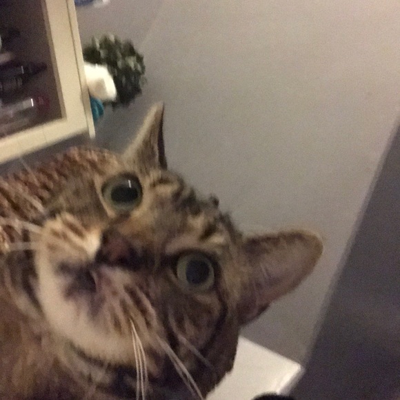 Profile Picture of Gavin Carlson (@xxgavincarxx) on Poshmark