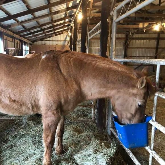 Profile Picture of Marsha Tiemann (@baronsbond) on Poshmark