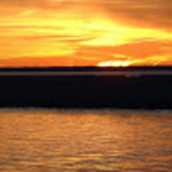 Profile Picture of Lila Pizzullo (@tpizzullo) on Poshmark