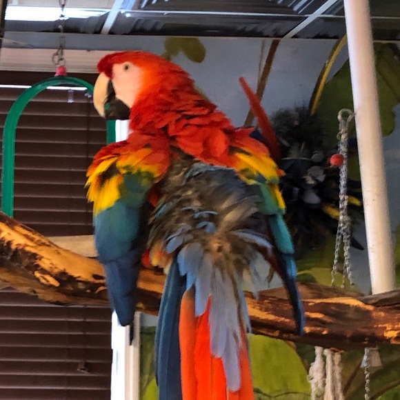 Profile Picture of David Metcalf (@davidmetcalf166) on Poshmark