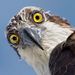 Profile Picture of Nathan Mcrae (@nathanmcraestu) on Pinterest