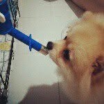 Profile Picture of 林國良 (@lin.guoliang) on Instagram