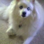 Profile Picture of David Wittenberg (@david.wittenberg.77) on Instagram