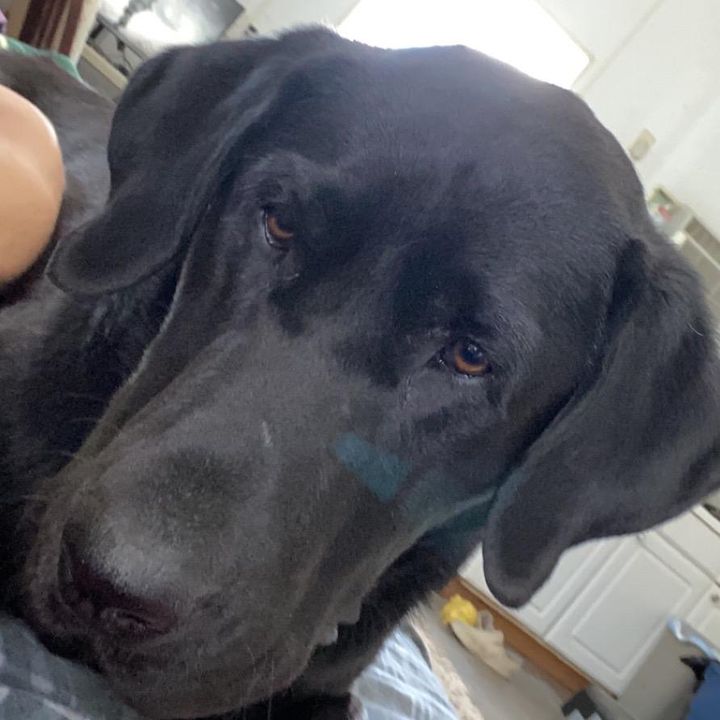 Profile Picture of Andrew Simpkins (@andrewsimpkins0) on Tiktok