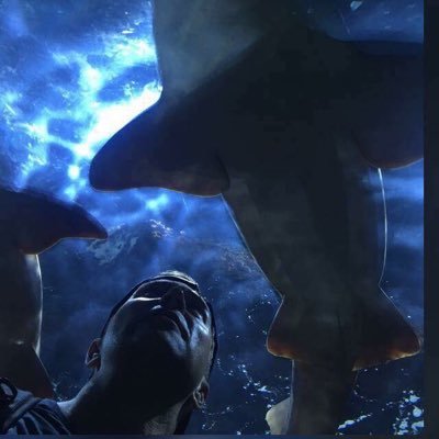 Profile Picture of Thomas Barany (@BaranyThomas) on Twitter