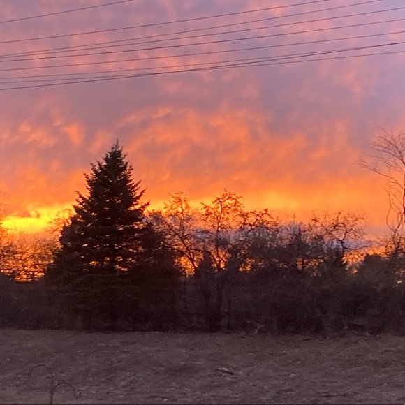 Profile Picture of Gemmasophia Bellio (@gemsiphone1) on Poshmark