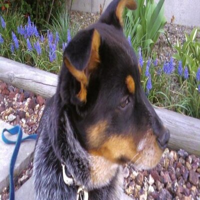 MATTHEW TEEHAN - Twitter Profile Picture of MATTHEW TEEHAN (@GOMBEENMAN11474) on Twitter