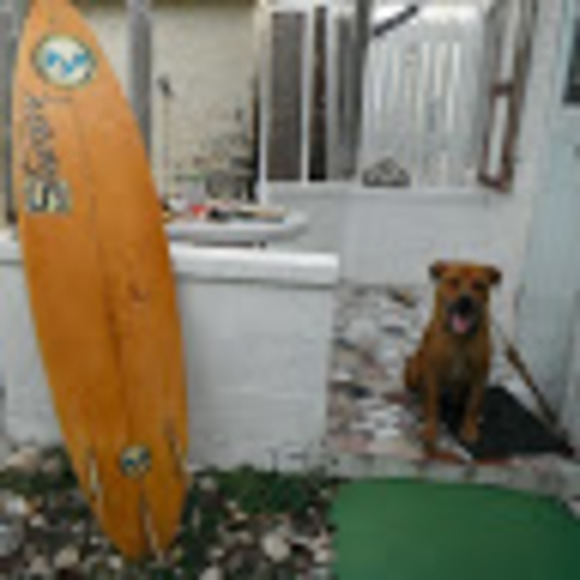 Profile Picture of Nicholas Camerlengo (@camerlen21) on Poshmark