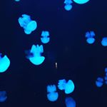 Profile Picture of Alec Winfield (@alecwinfield9) on Instagram