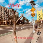 Profile Picture of Jacob Jett (@stoptoppingtrees) on Instagram