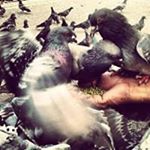 joseph nair (joe) - Instagram Profile Picture of joseph nair (joe) (@roundthebout) on Instagram