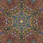 Profile Picture of Amanda Sage Collection (@amandasagecollection) on Instagram