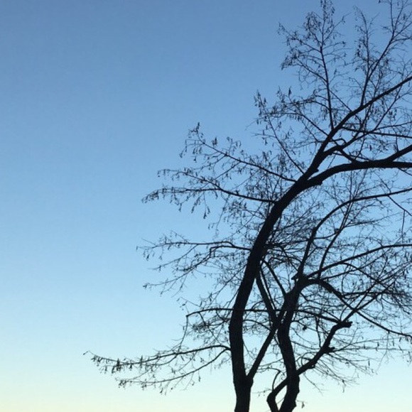 Profile Picture of Jessica Santello (@jess_dance) on Poshmark