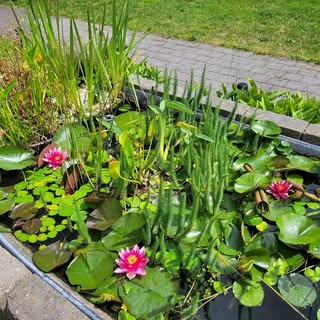 Profile Picture of Marina Van den Acker (@vandenacker) on Instagram