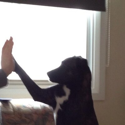 Profile Picture of Kristen Hamilton (@kris_erin8) on Twitter