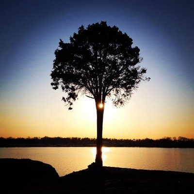 Profile Picture of Jason Rearick (@photogjr) on Twitter