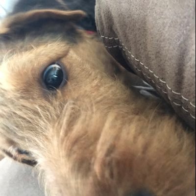 Profile Picture of David Rosenberger (@DavidRo10233472) on Twitter