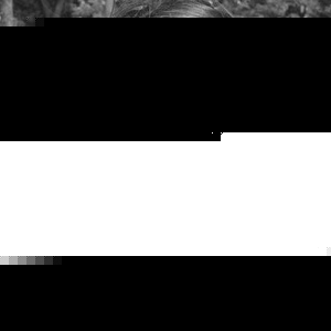 Profile Picture of Anna Czerwinska (@346446787) on Myspace