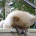 Profile Picture of Daniel Kromer (@daniel.kromer.735) on Facebook