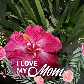 Profile Picture of Laura Larios Lara (@Laura-Larios-Lara) on Facebook