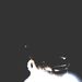 Profile Picture of Tomas Estévez (@tomaselopez5) on Pinterest