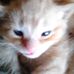 Profile Picture of Gwenda Mitchell (@gwenda.mitchell.9) on Facebook