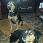 Profile Picture of Diane Borchert Skaalrud (@dianeskaalrud) on Instagram