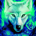 jon - Instagram Profile Picture of jon (@jonathandingess55) on Instagram