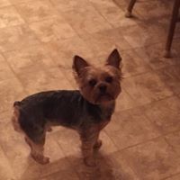 Profile Picture of Curtis Greer (@curtis-greer-5) on Quora