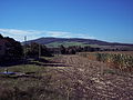 Profile Picture of Rotstein - Wikipediaon Wikipedia