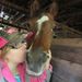 Profile Picture of Paula Anna (@paulaostrowski1523) on Pinterest
