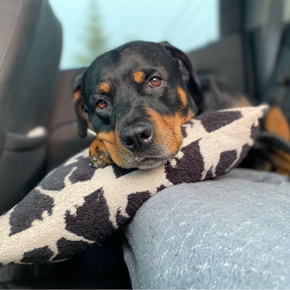 Profile Picture of Jordyn Siurko (@j_siurko) on Poshmark