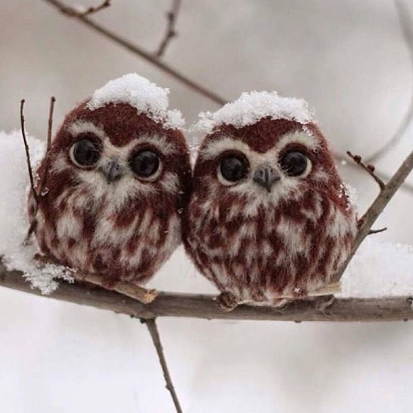 Profile Picture of Dalal W (@yogiamore) on Poshmark