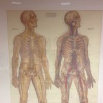 Profile Picture of BenTheOsteopath (@benosteopath) on Instagram