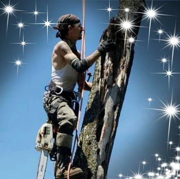 Profile Picture of Mike Mccreadie (@mikemccreadie) on Poshmark