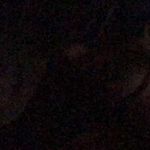 Profile Picture of Bianca Wells (@biancawells699) on Instagram