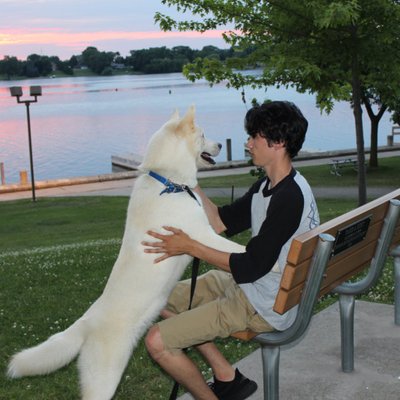 Profile Picture of Nick Laurino (@NickLaurino) on Twitter